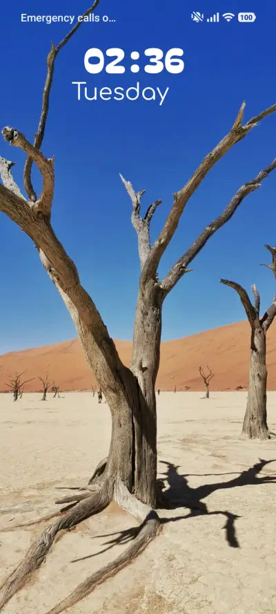 Desert Bones - Screenshot 1