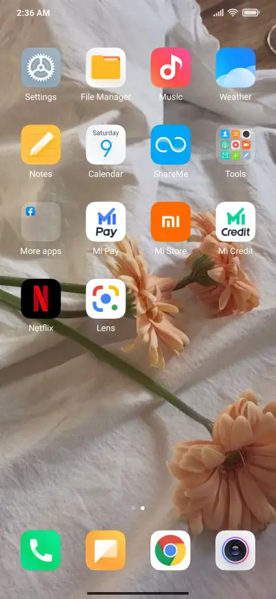 Theme01 - Screenshot 3