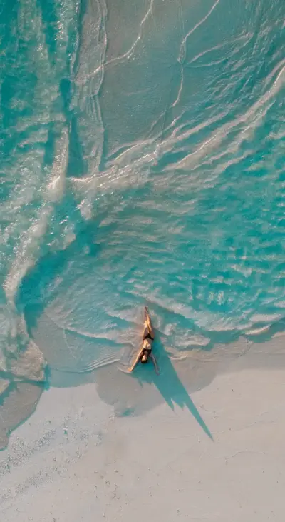 Popular This Week (14)