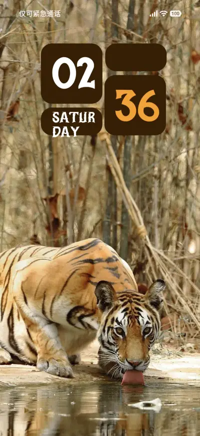 Jungle Eyes - Screenshot 1