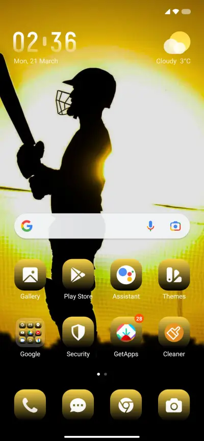 Batsman Cricket - Screenshot 2