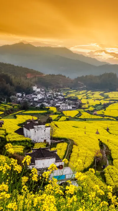 Wuyuan between green mountains and green waters 14