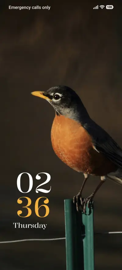 Wild Bird - Screenshot 1