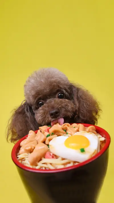 41 harm a dog's beha