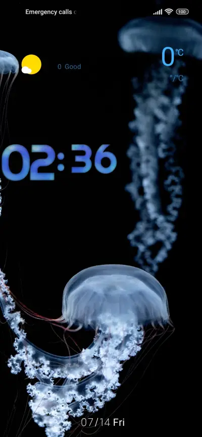 transparent jelly