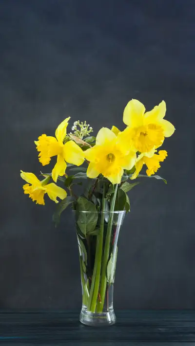 What Flowers are Suitable for Growing in Autumn 3