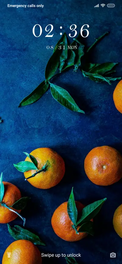 Orange Top_3MDS - Screenshot 1