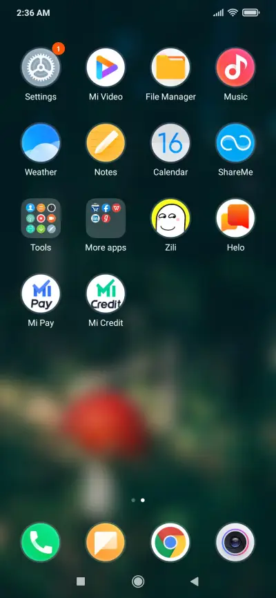 mushroom - Screenshot 3