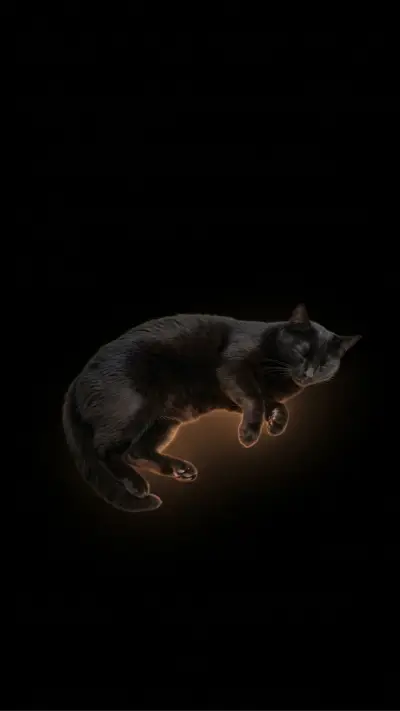 Celestial Sleeping Cat in Void - Screenshot 1