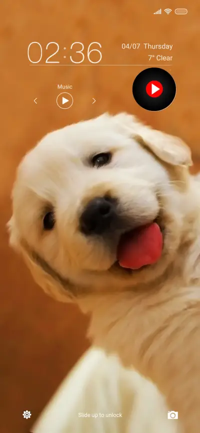 Cute Pup Qo