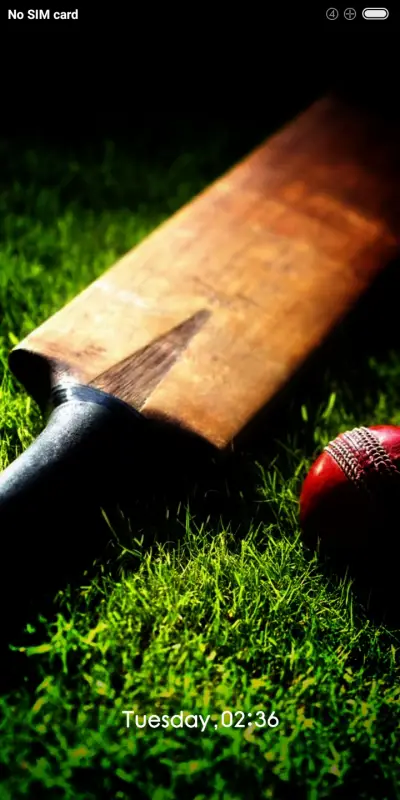 Dream_Cricket - Screenshot 1