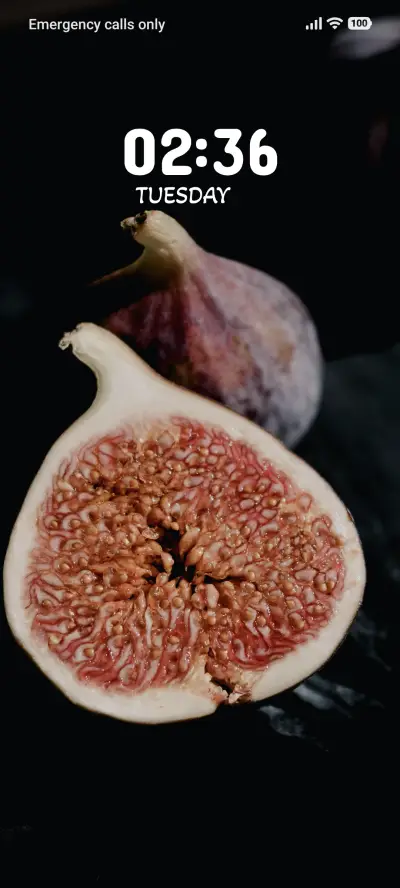 Fig Delight