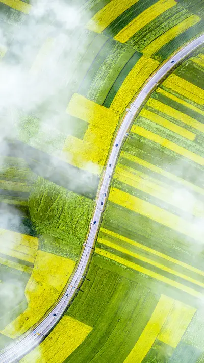 The golden rule of car buying