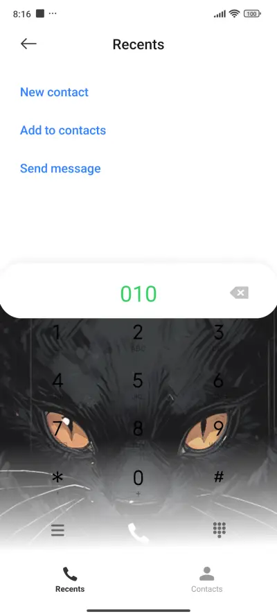 Black Cat Guardian - Screenshot 4