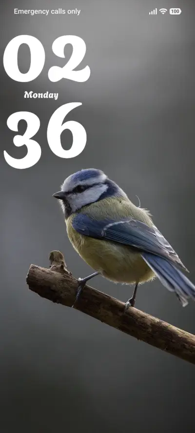 Sky Finch THEME for Xiaomi MIUI HyperOS