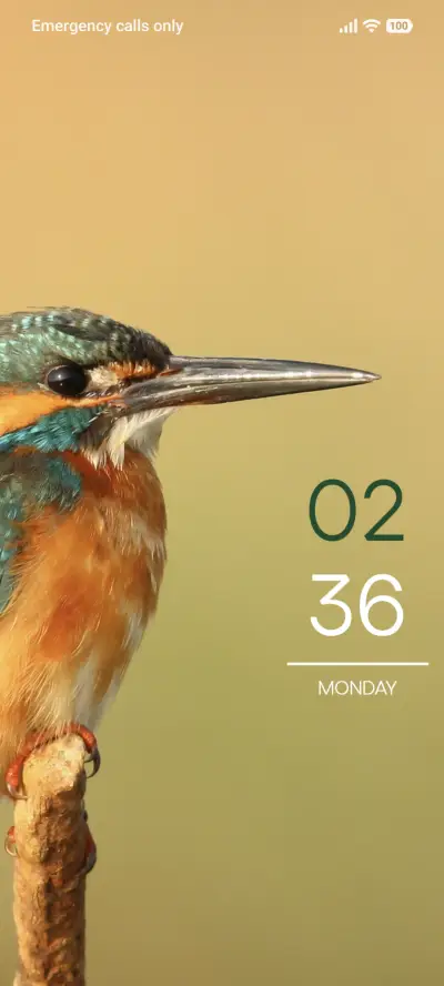 River King THEME for Xiaomi MIUI HyperOS