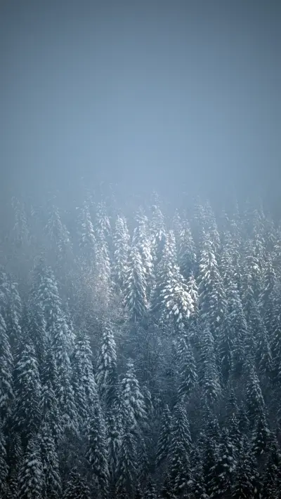 Snow country scenery - Screenshot 1