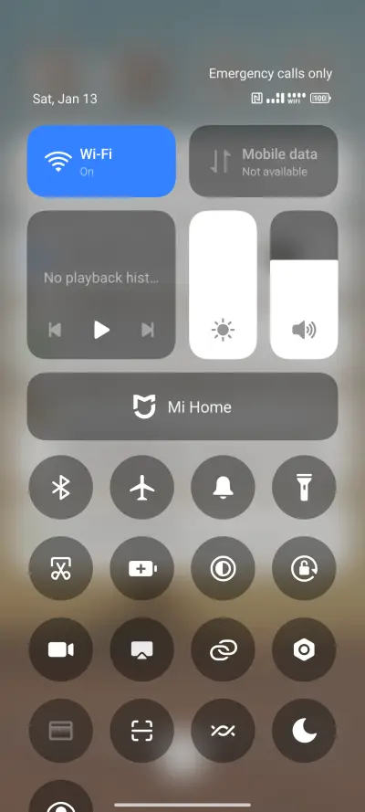 Palm Paradise - Screenshot 5