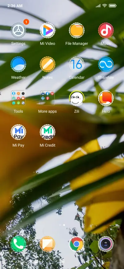 Flowers_DWM2 - Screenshot 3