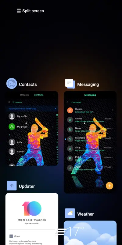 Star_Cricket - Screenshot 4