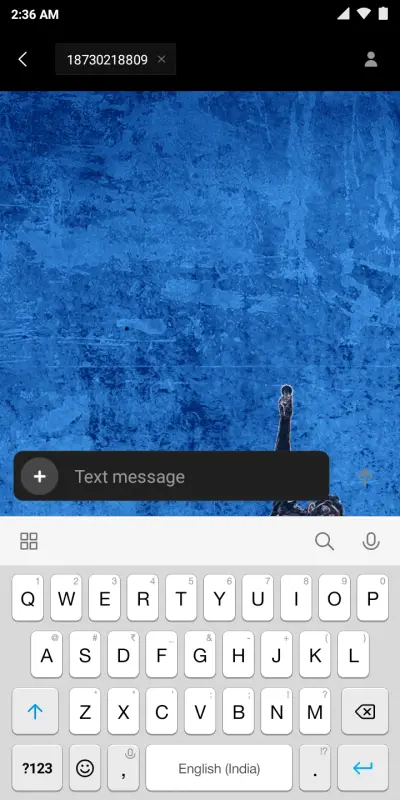 Star_Cricket - Screenshot 8