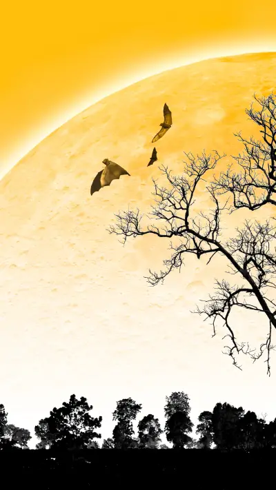 lingering light of the setting sun-04