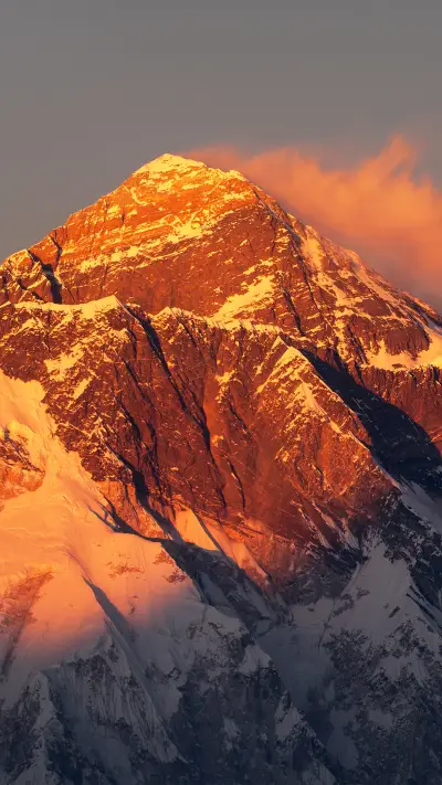 Snow Forest Highlands