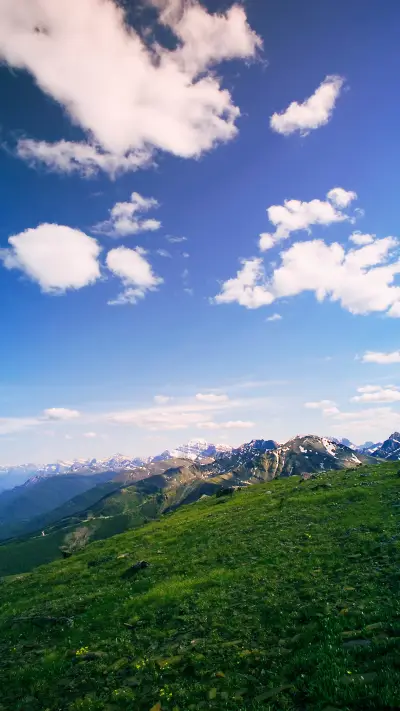 Green eye wallpaper-10