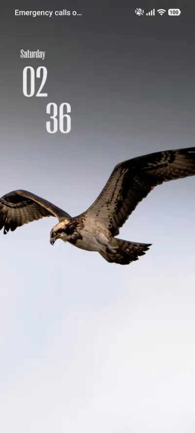 Large Bird THEME for Xiaomi MIUI HyperOS