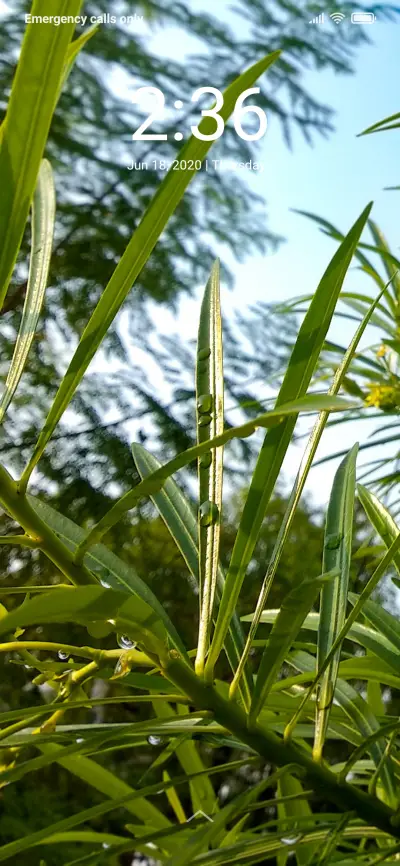 Water Drops_DWM2 - Screenshot 1